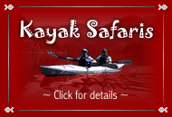Pacific Safaris Kayak Safaris