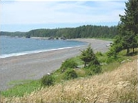 Nootka Trail Beach